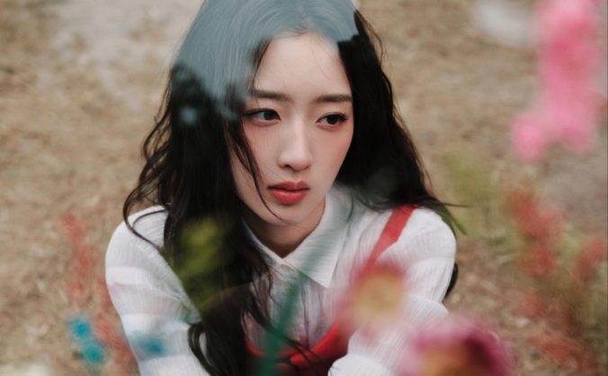 临江仙·梅 李清照