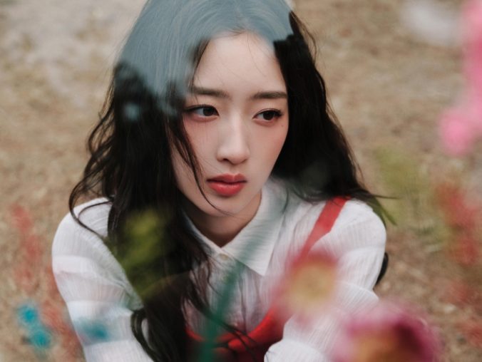 临江仙·梅 李清照