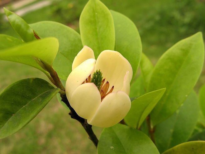 题龙阳县青草湖 唐珙